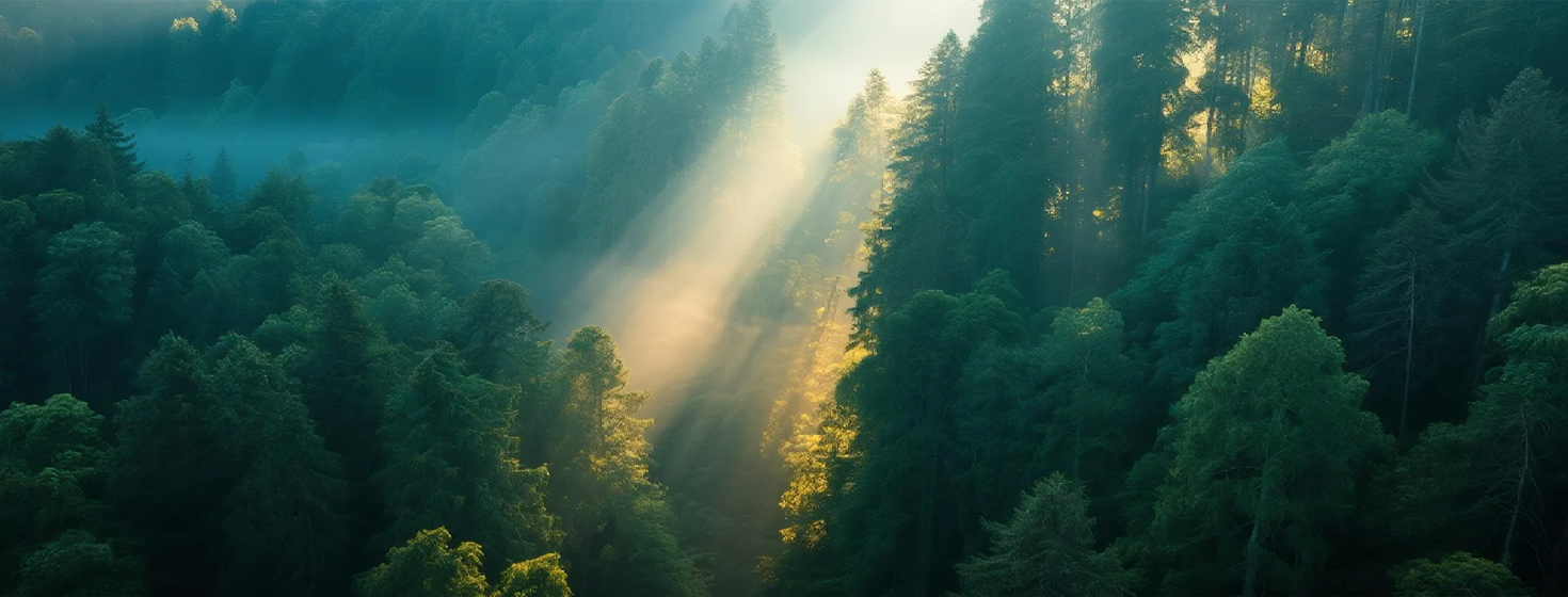 Sustainable Development